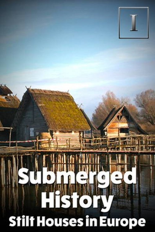 Submerged History: Stilt Houses in Europe (2013) poster