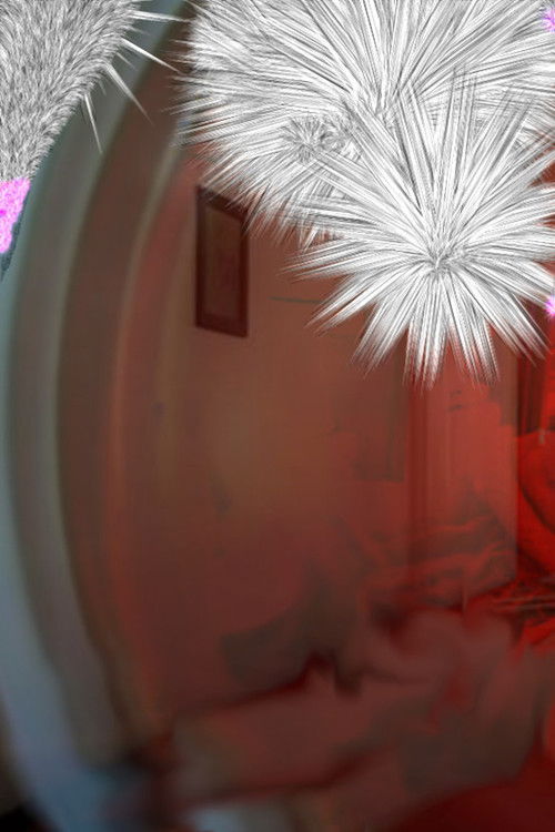 The Sparkle Room (2001) poster