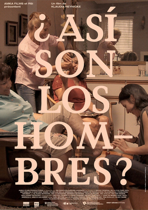 ¿Así son los hombres? poster