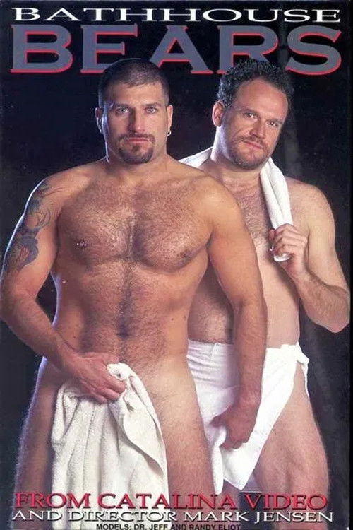 Bathhouse Bears (2000) poster