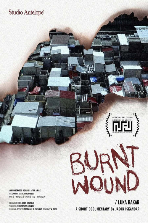 Burnt Wound (2025) poster
