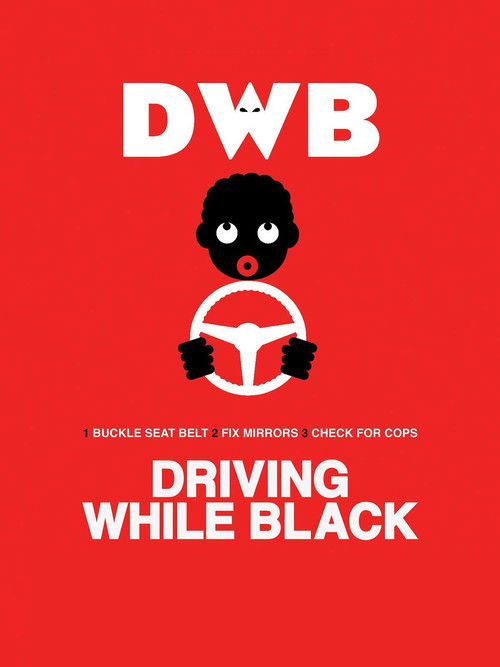 Driving While Black (2015) poster