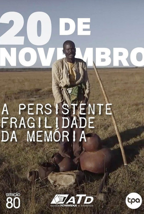 A Persistente Fragilidade da Memória (2012) poster