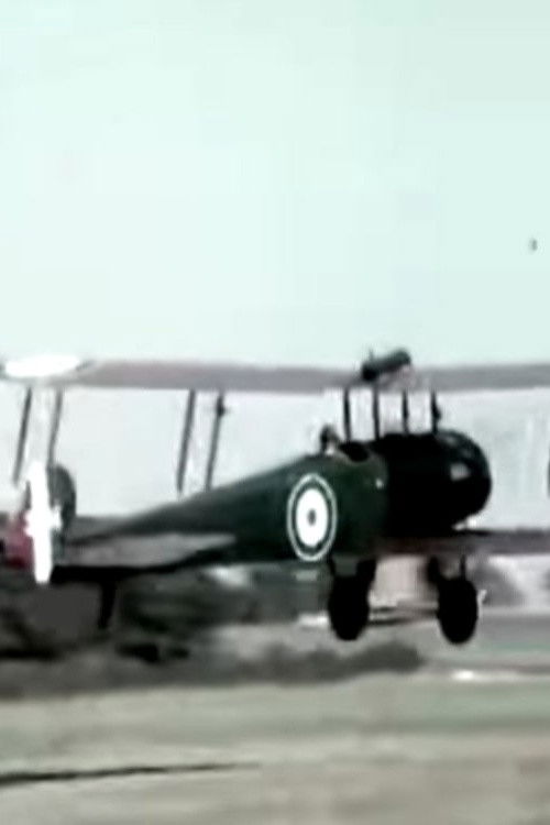 The Wind in the Wires (1972) poster