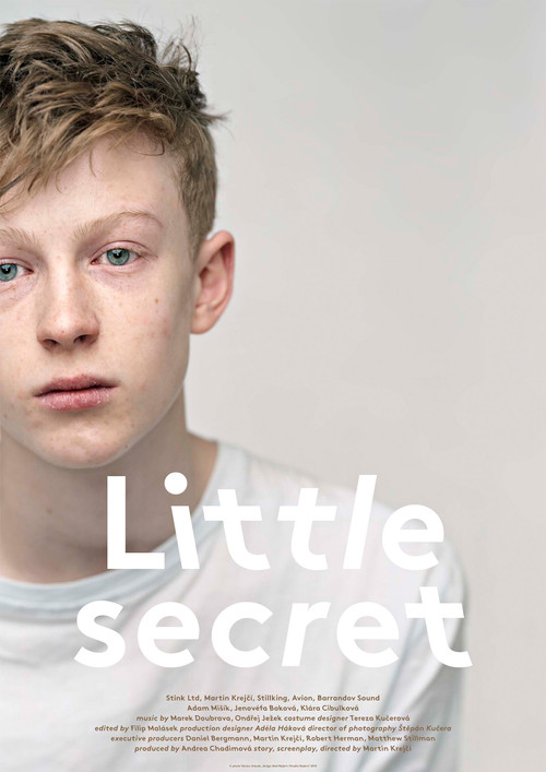 Little Secret (2013) poster