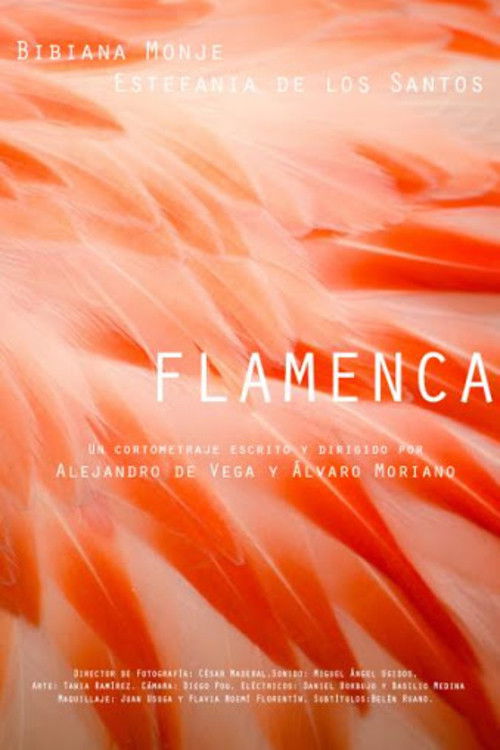Flamenca (2018) poster