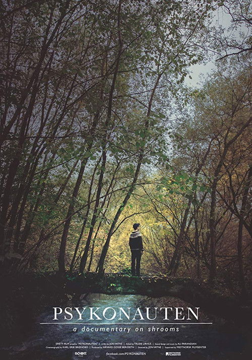 The Psychonaut (2015) poster