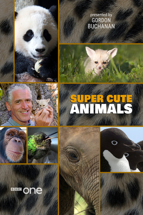 Super Cute Animals (2015) poster