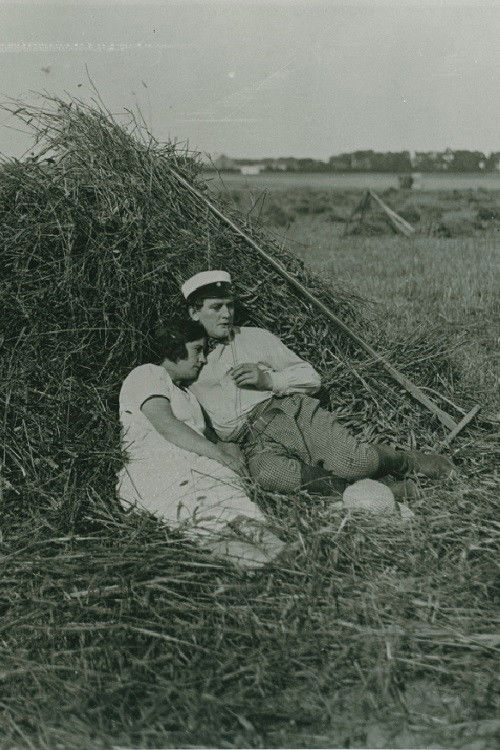 Den gamla herrgården (1925) poster