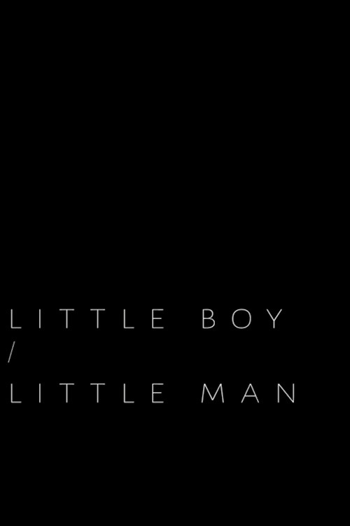Little Boy / Little Man (2017) poster