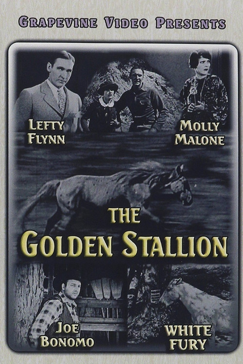 The Golden Stallion (1927) poster