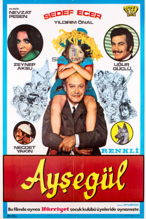 Ayşegül (1971) poster