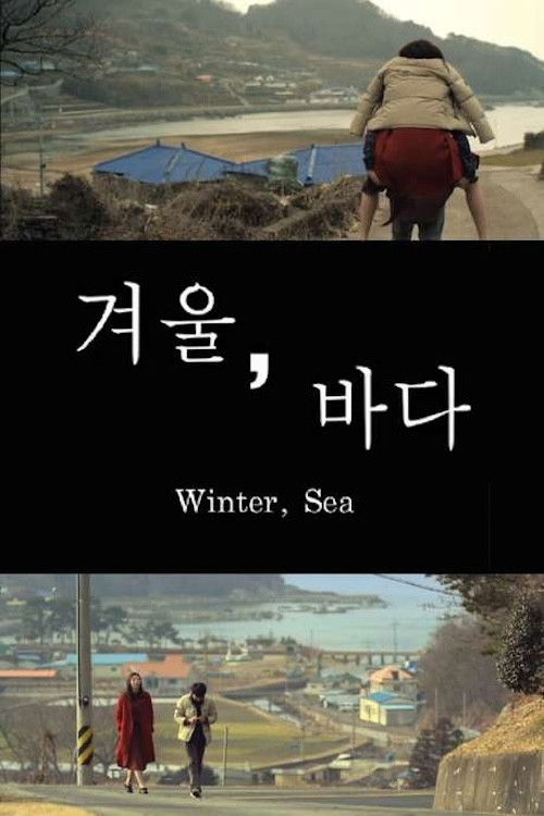 Winter, Sea (2015) poster