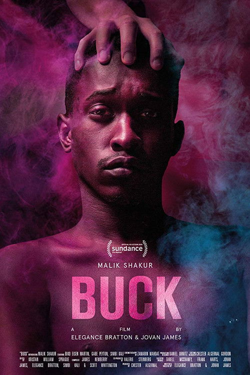 Buck (2020) poster