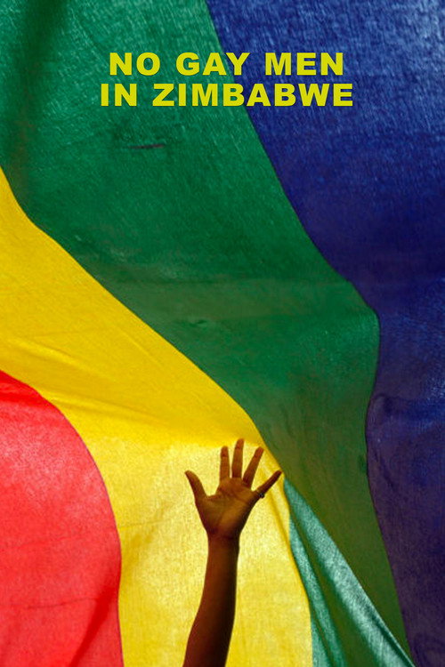 No Gay Men in Zimbabwe (2021) poster