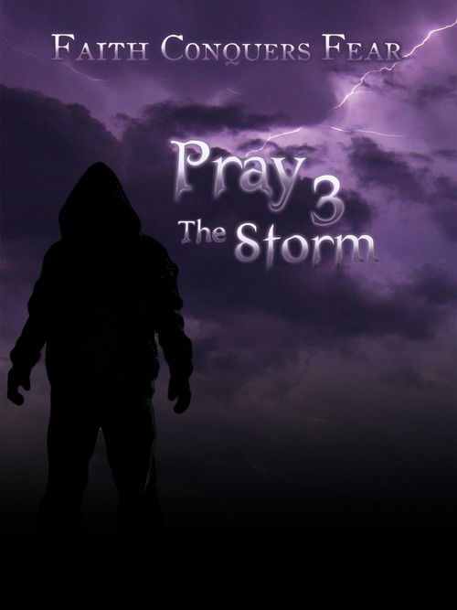 Pray 3D: The Storm (2012) poster