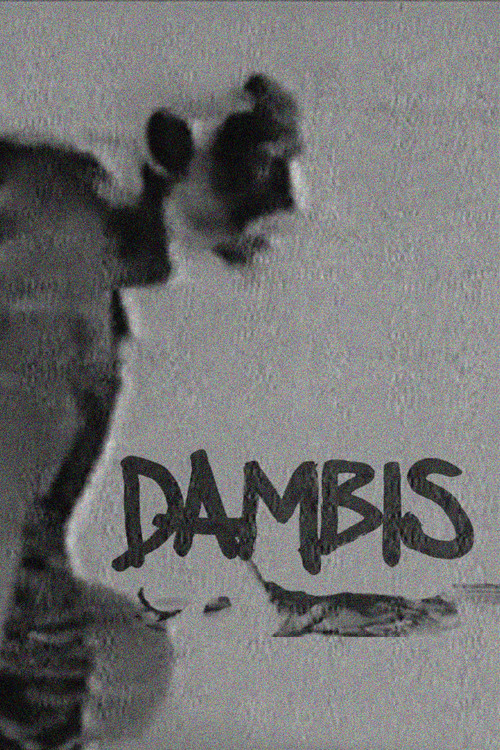 Dambis (2008) poster