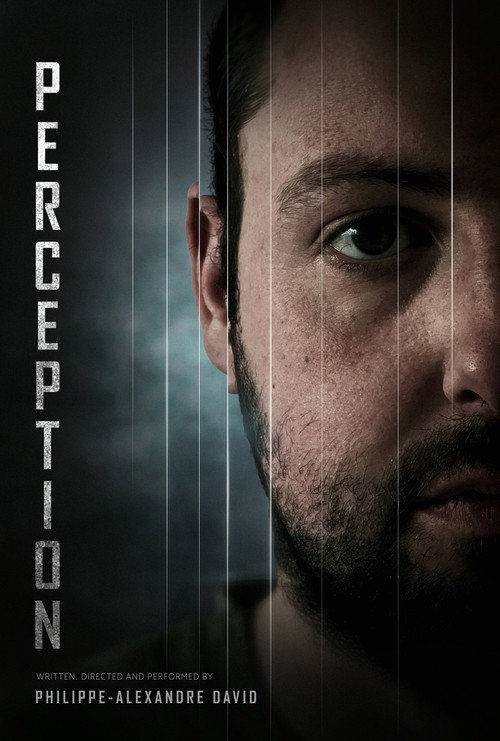 Perception (2026) poster