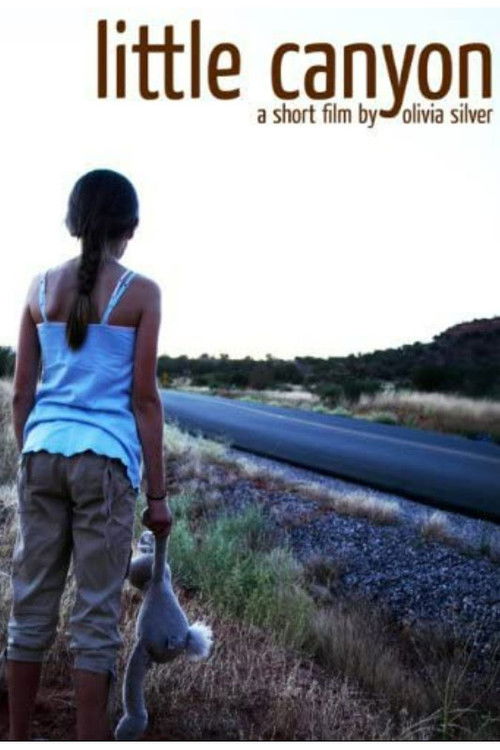 Little Canyon (2008) poster