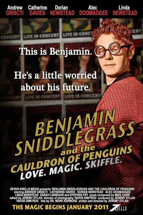 Benjamin Sniddlegrass and The Cauldron of Penguins (2011) poster