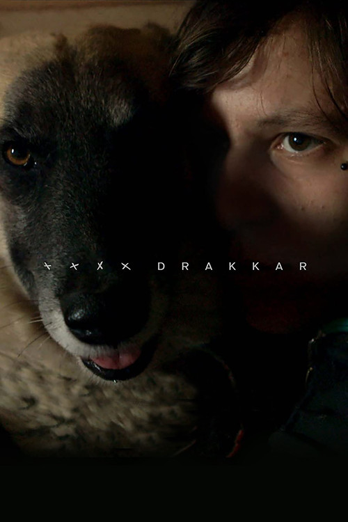Drakkar (2015) poster