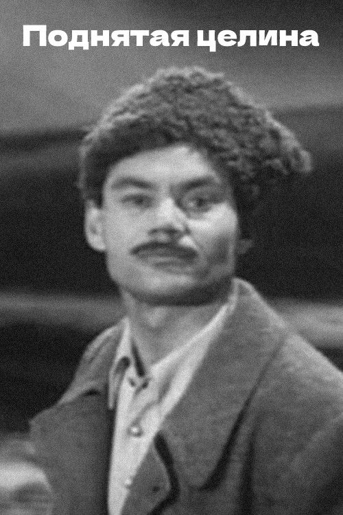 Поднятая целина (1971) poster