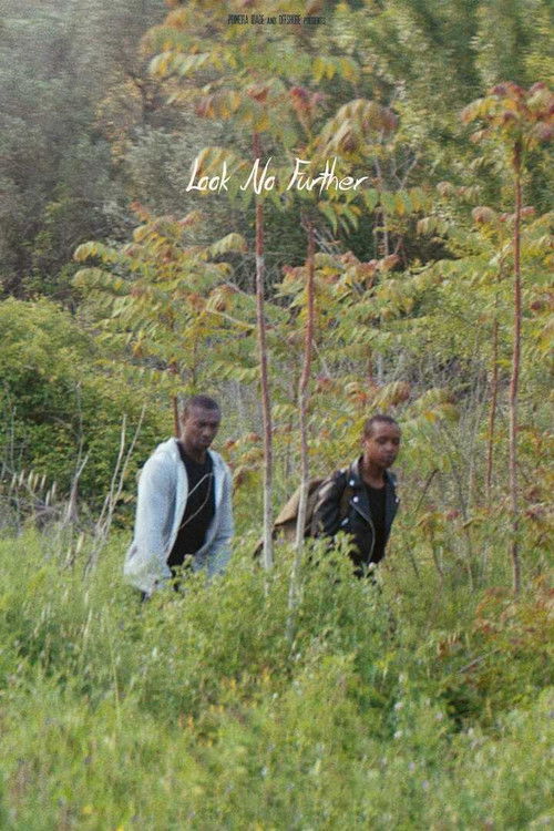 Look No Further (2019) poster