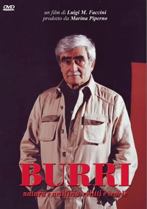 Burri (2009) poster
