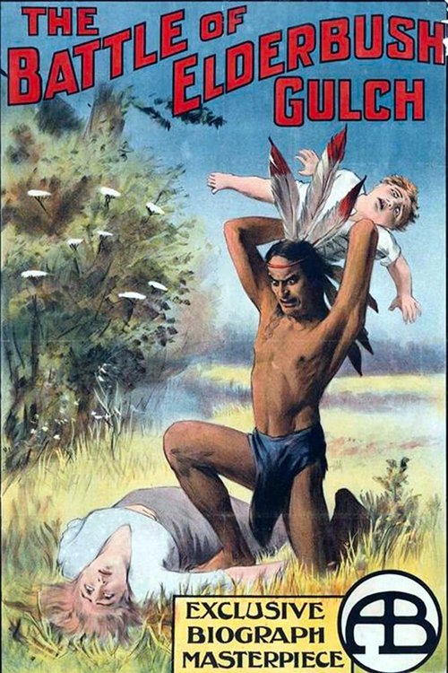The Battle at Elderbush Gulch (1913) poster