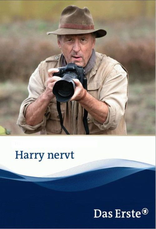 Harry nervt (2013) poster