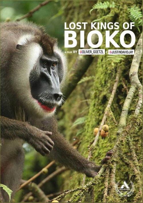 Lost Kings of Bioko (2019) poster