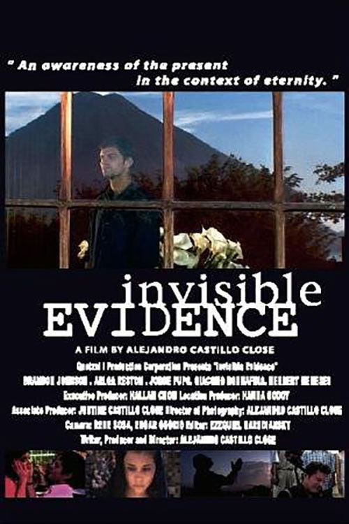 Invisible Evidence (2003) poster