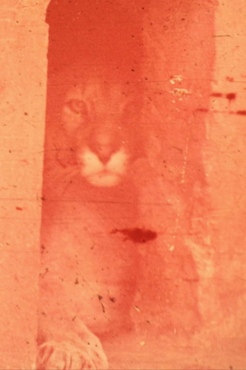 La noble ultimación de la bestia (2018) poster