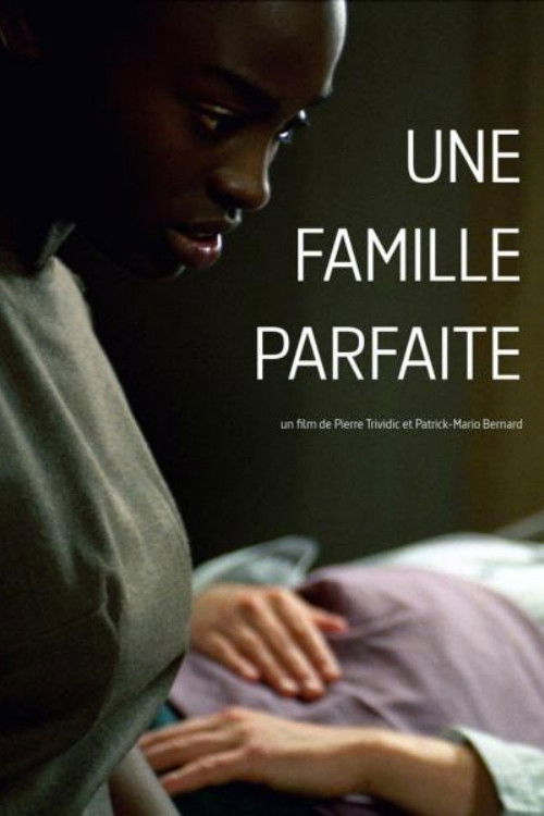 Une famille parfaite (2006) poster