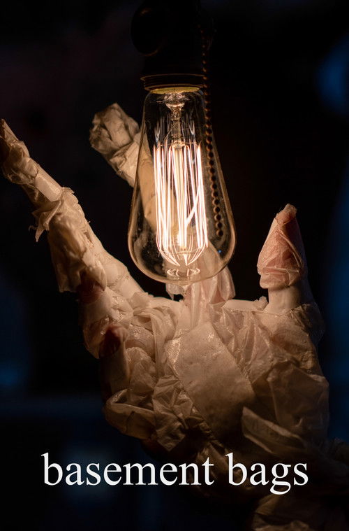 Basement Bags (2018) poster