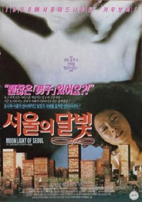 서울의 달빛 (1991) poster