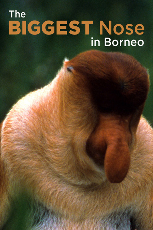 The Biggest Nose in Borneo (2003) poster
