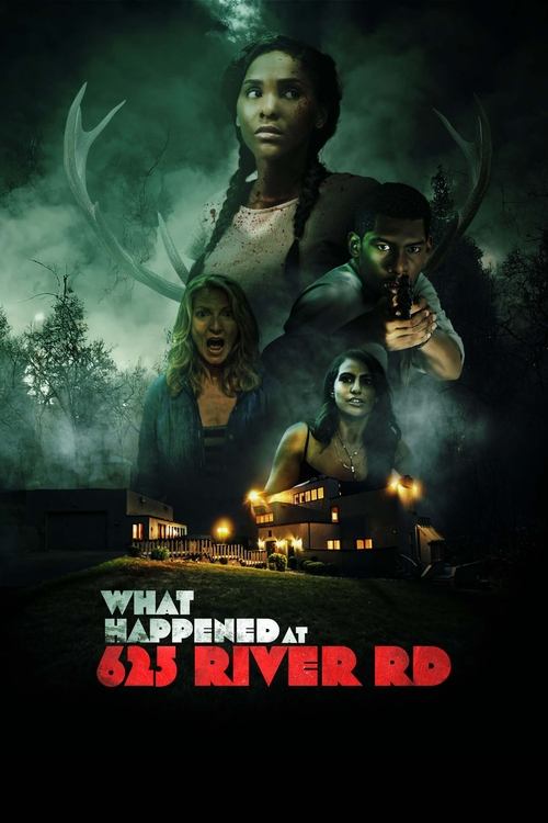 What Happened at 625 River Road? (2023) poster