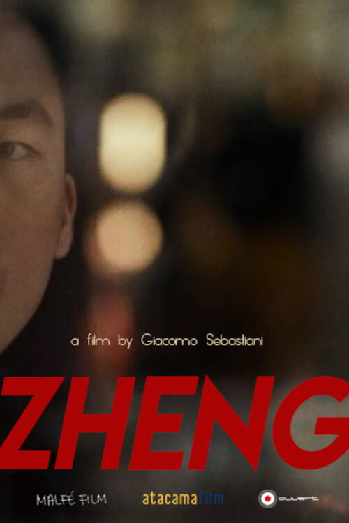 Zheng (2020) poster