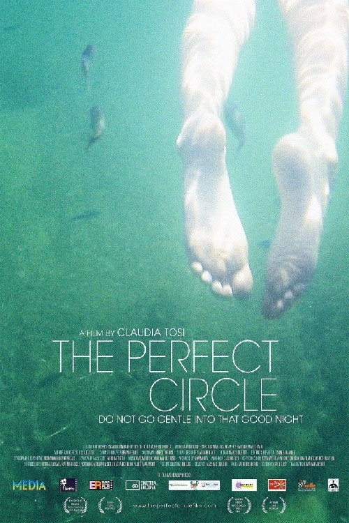 The Perfect Circle (2013) poster
