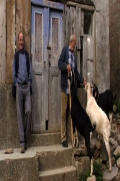 25th meridian (2012) poster