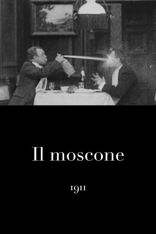 The Hornet (1911) poster