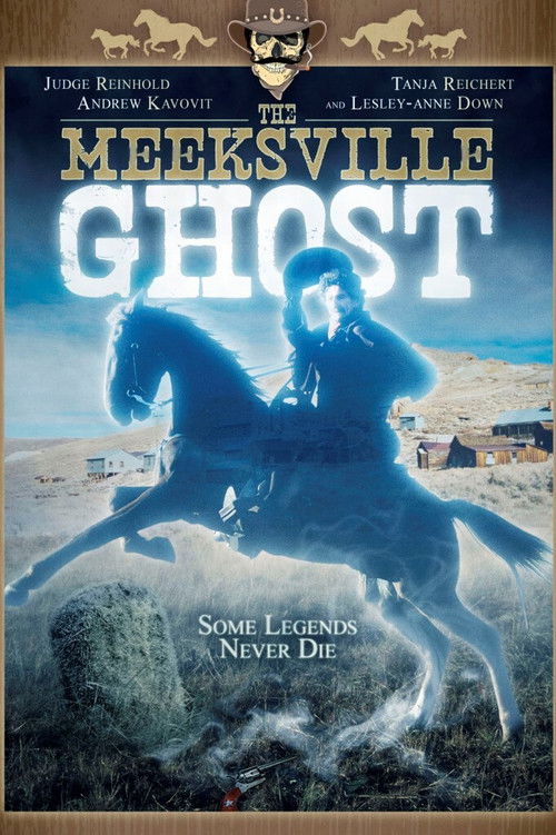 The Meeksville Ghost (2001) poster