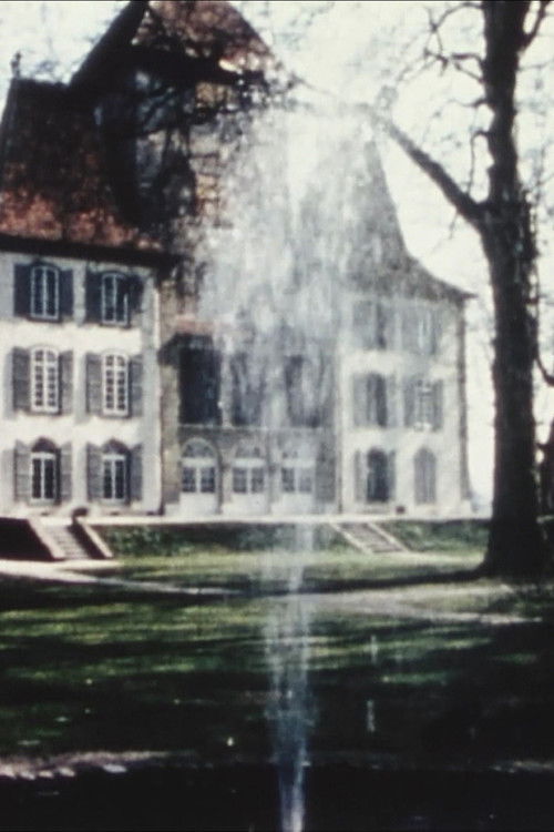 13 Bern Museums (1968) poster