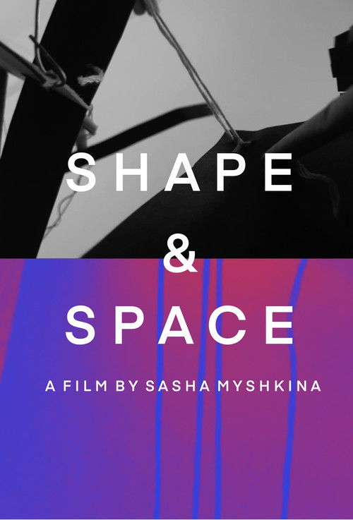 Shape&Space (2021) poster