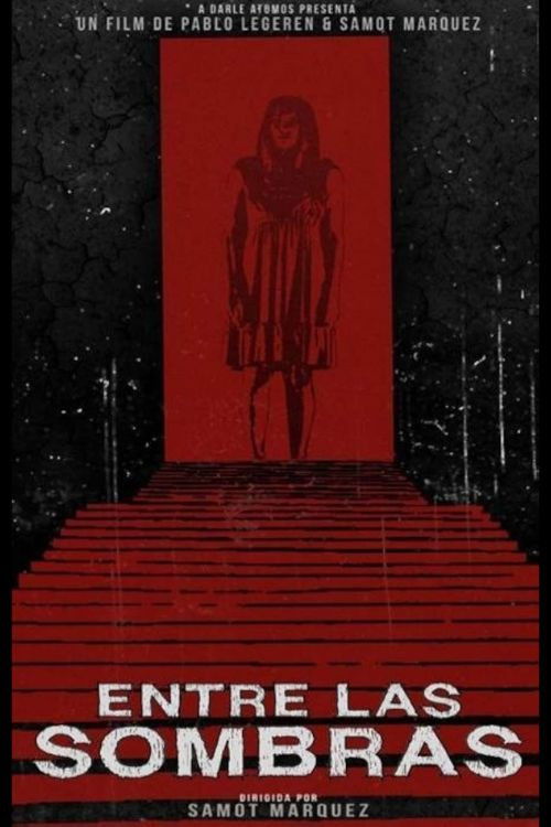 Entre las Sombras (2013) poster