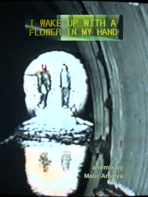 I Wake Up With a Flower in My Hand (2021) poster
