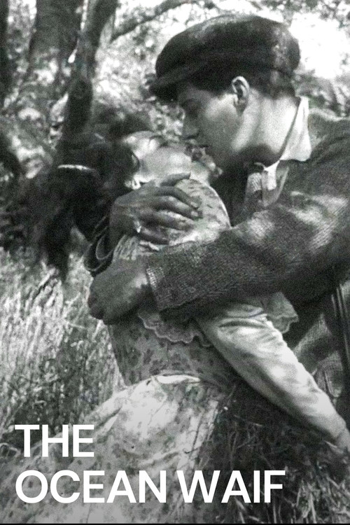 The Ocean Waif (1916) poster