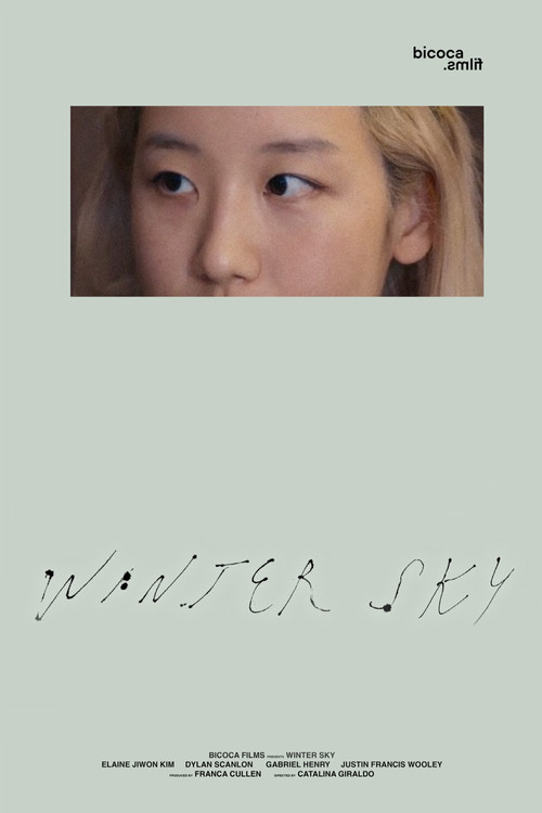 Winter Sky (2025) poster
