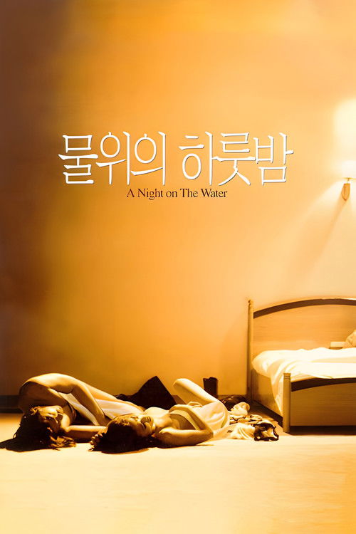 물위의 하룻밤 (1998) poster